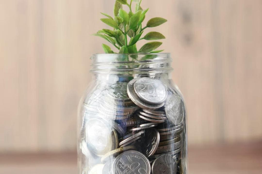 A seedling growing from a jar of coins, representing sustainable investment